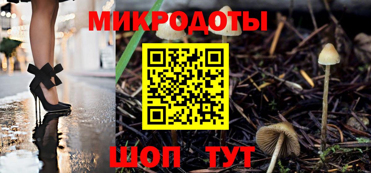 Галлюциногенные грибы GOLDEN TEACHER Псков
